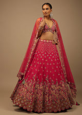 Rani Pink Lehenga Choli In Raw Silk With A Cluster Of Multi Colored Resham Flowers And Cut Dana Highlights