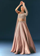 Oyster Organza Embroidered Lehenga Set With Dupatta